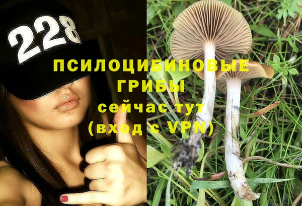 2c-b Алексеевка